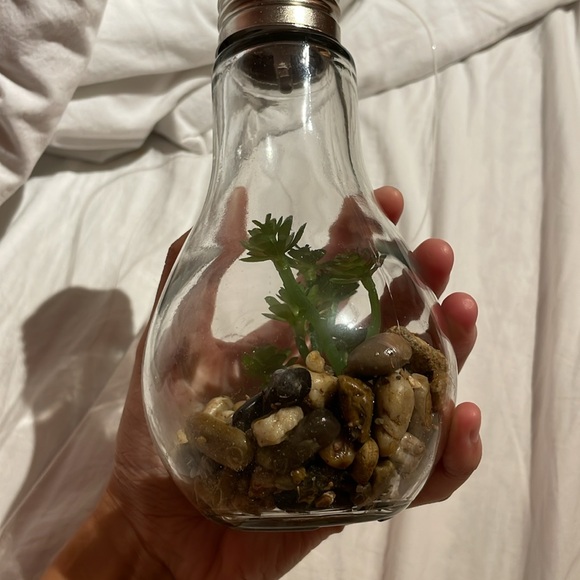 Light bulb greenhouse deco - Picture 2 of 4